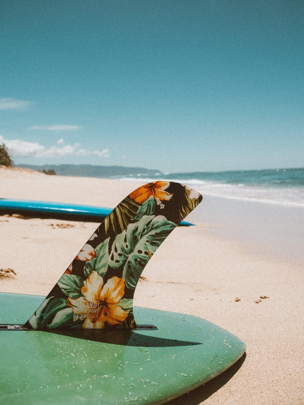 Surf lesson