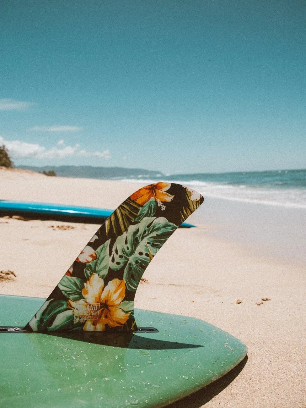 Surf lesson